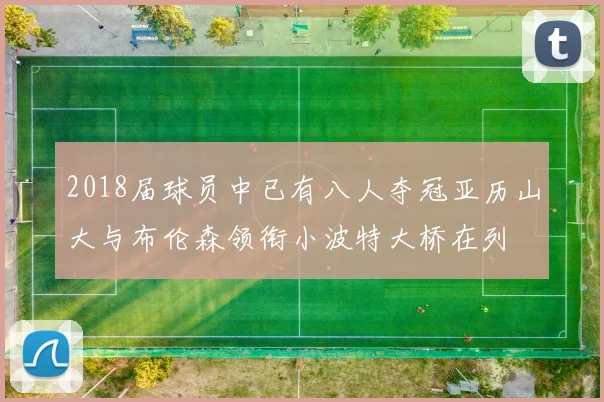 2018届球员中已有八人夺冠亚历山大与布伦森领衔小波特大桥在列